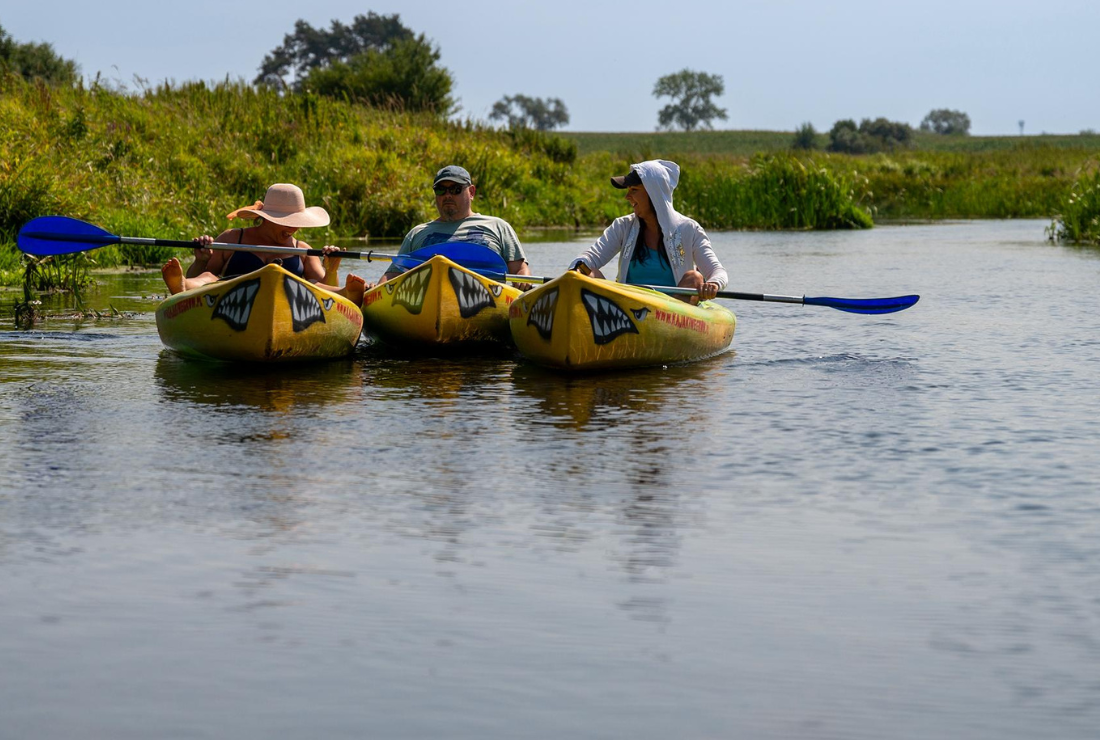kajaki od wegrowa do wyszkowa